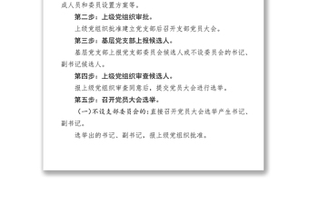 换届选举工作总结党支部换届流程及相关请示样式