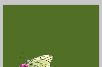 鲜花上的蝴蝶幻灯片背景图片