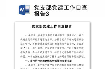 黨支部黨建工作自查報(bào)告3