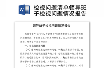 檢視問題清單領(lǐng)導(dǎo)班子檢視問題情況報(bào)告