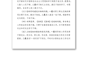 檢視問(wèn)題清單領(lǐng)導(dǎo)班子檢視問(wèn)題情況報(bào)告
