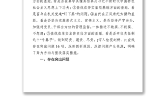 檢視問題清單學習在中央和國家機關(guān)黨的建設(shè)工作會議上重要講話精神檢視剖析材料