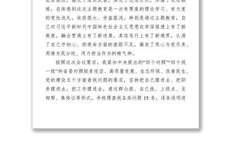 檢視剖析材料縣處級領導干部主題教育專題民主生活會剖析檢視材料