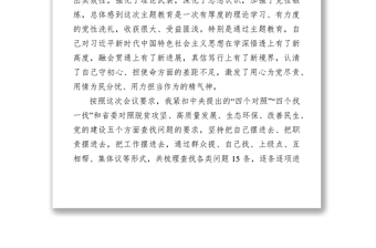 檢視剖析材料縣處級領(lǐng)導(dǎo)干部主題教育專題民主生活會剖析檢視材料