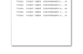 主題教育自查評估報告自查報告