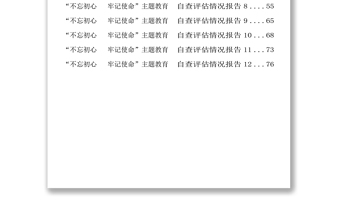 主題教育自查評(píng)估報(bào)告自查報(bào)告