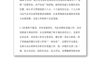 2019黨支部換屆工作報告范文黨支部工作總結(jié)