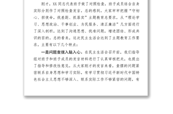 主題教育民主生活會(huì)指導(dǎo)組總結(jié)點(diǎn)評(píng)講話民主生活會(huì)發(fā)言材料