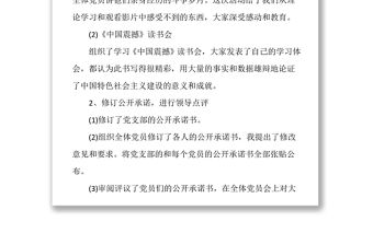 大學(xué)黨支部書記個人述職報告