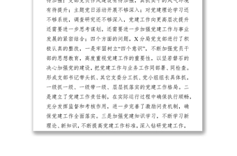 黨支部書記2019年度抓黨建和黨風廉政建設(shè)工作報告