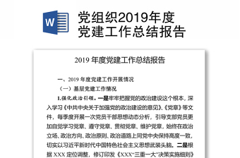 党组织2019年度党建工作总结报告