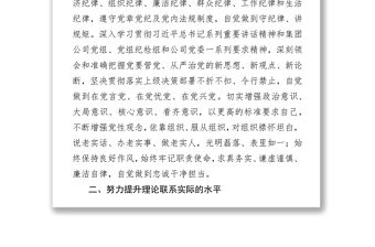 企業(yè)紀(jì)委領(lǐng)導(dǎo)2019年述責(zé)述廉報(bào)告