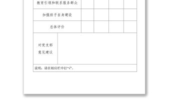 黨支部年終民主評議登記表等4張工作材料