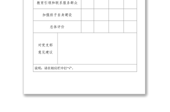 党支部年终民主评议登记表等4张工作材料