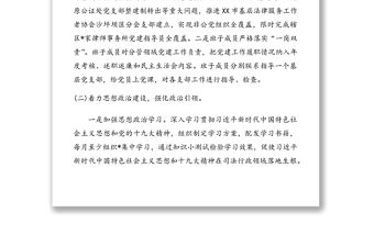 20XX年司法局支部書記抓機關黨建工作述職報告