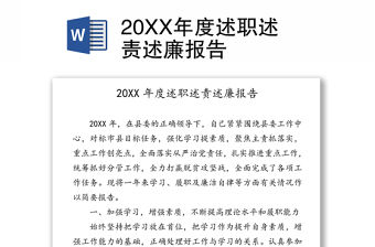 20XX年度述職述責述廉報告