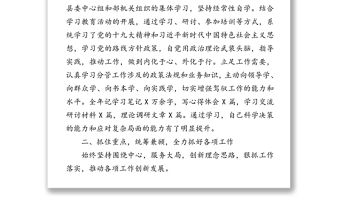 20XX年度述職述責述廉報告