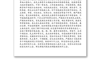 20XX年度干部選拔任用工作專題報告工作報告