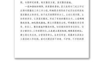 關于對評議反饋意見整改落實情況的報告整改方案