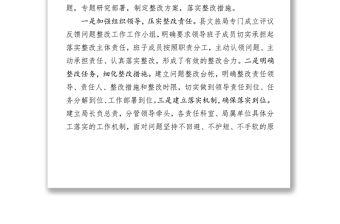 關(guān)于對評議反饋意見整改落實情況的報告整改方案