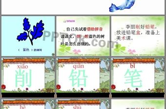 《藍色的樹葉》PPT課件3