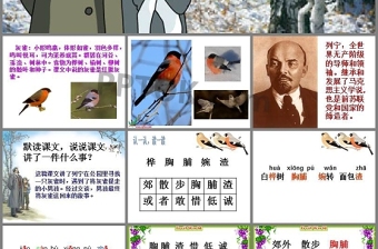 灰雀ppt課件