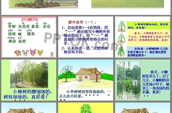 小柳樹和小棗樹ppt