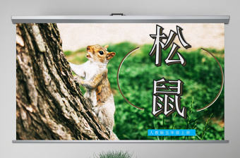 原創24頁松鼠語文課件PPT模板