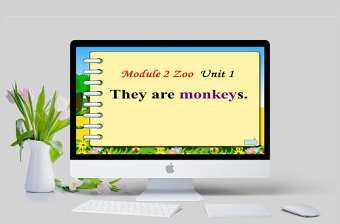  They are monkeys 英語課件PPT模板