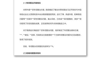 關于主題教育整改整治進展情況的報告整改方案