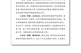 共青團某市委疫情防控階段性工作總結