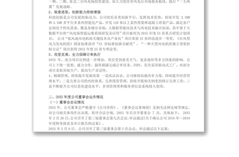 20XX年度董事會(huì)工作報(bào)告
