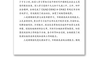 縣委書記述職述廉述法報告