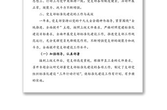 黨支部標準化建設工作自查報告范文