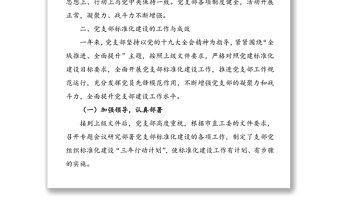 黨支部標(biāo)準(zhǔn)化建設(shè)工作自查報(bào)告范文