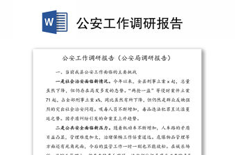 公安工作調研報告