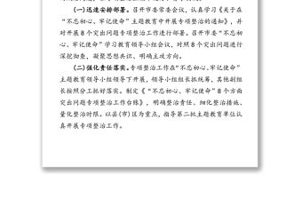 主題教育8個方面突出問題專項整治情況報告