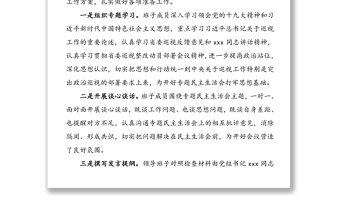 巡視整改專題民主生活會情況報告(巡察整改民主生活會報告)