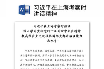 習近平在上海考察時講話精神