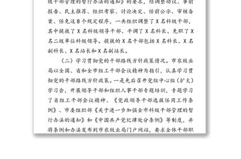 關于干部選拔任用工作的專題報告