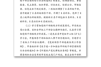 關(guān)于干部選拔任用工作的專題報(bào)告