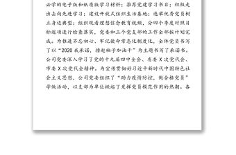 強化黨建責任打造紅色引擎全力驅動民營企業經濟強勁發展的專題匯報黨建工作