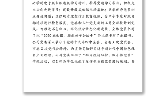 强化党建责任打造红色引擎全力驱动民营企业经济强劲发展的专题汇报党建工作