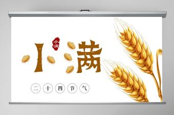 簡約風麥穗中國二十四節氣小滿介紹PPT模板