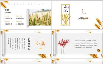 簡約風麥穗中國二十四節氣小滿介紹PPT模板