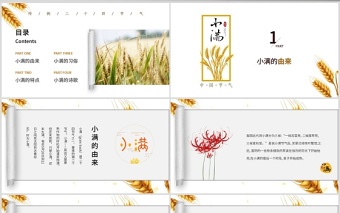 簡(jiǎn)約風(fēng)麥穗中國(guó)二十四節(jié)氣小滿介紹PPT模板