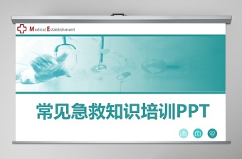 2022常见公文标点符号错误ppt