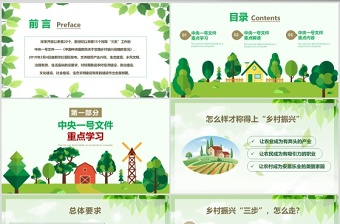 2019年中央一號(hào)文件鄉(xiāng)村振興戰(zhàn)略全方位精準(zhǔn)解讀ppt課件