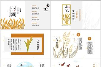 簡約風二十四節氣小滿介紹PPT模板
