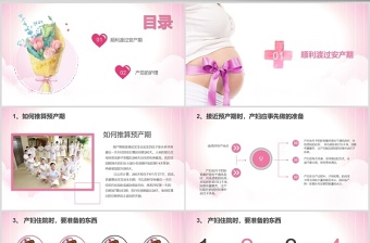 粉色簡約清新20xx月嫂培訓(xùn)ppt